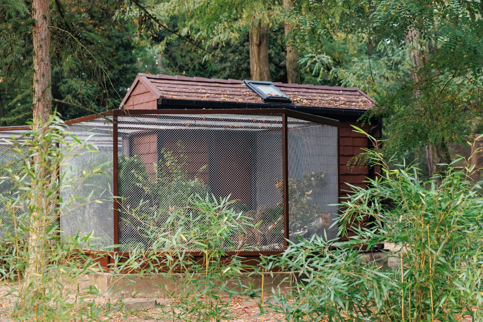 ZOO-07989