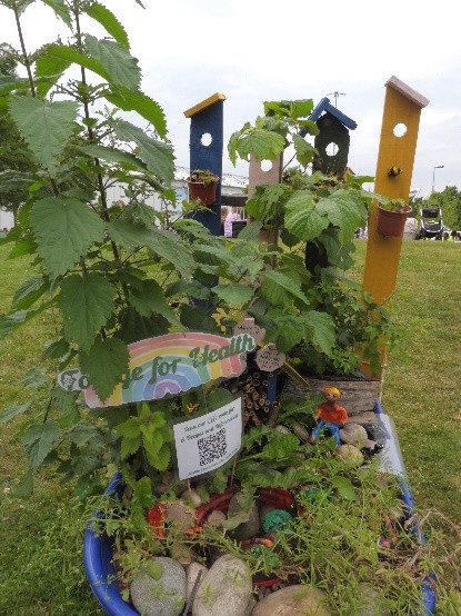 Blooming Brilliant: Birmingham Pupils Win Top Prizes at BBC Gardeners’ World Live