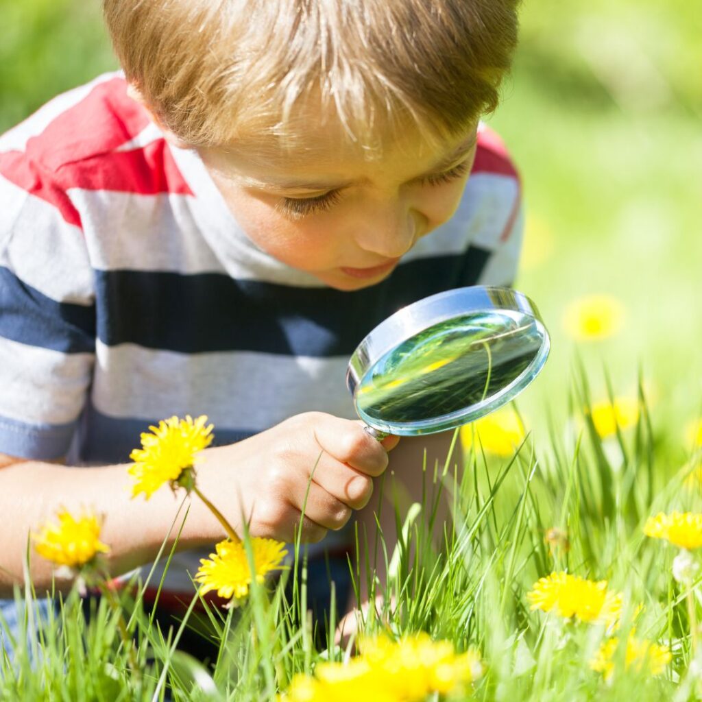 Discover Nature: Haddon Hall's Little School of Ecology Launches This Summer