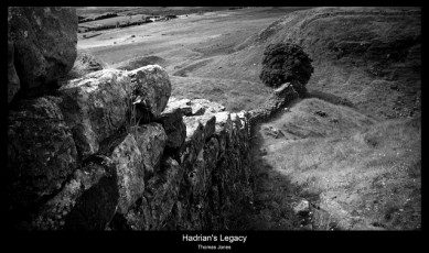 hadrian's legacy sycamore gap