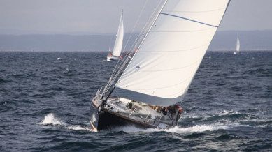 Tall Ships Race
