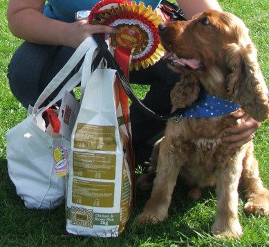 Oldies CLub