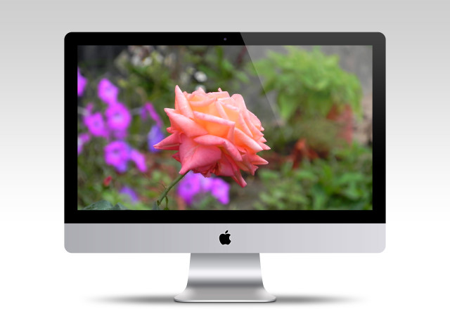 Website Design Consett - Benefits of Website Design