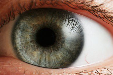 Eye discovery