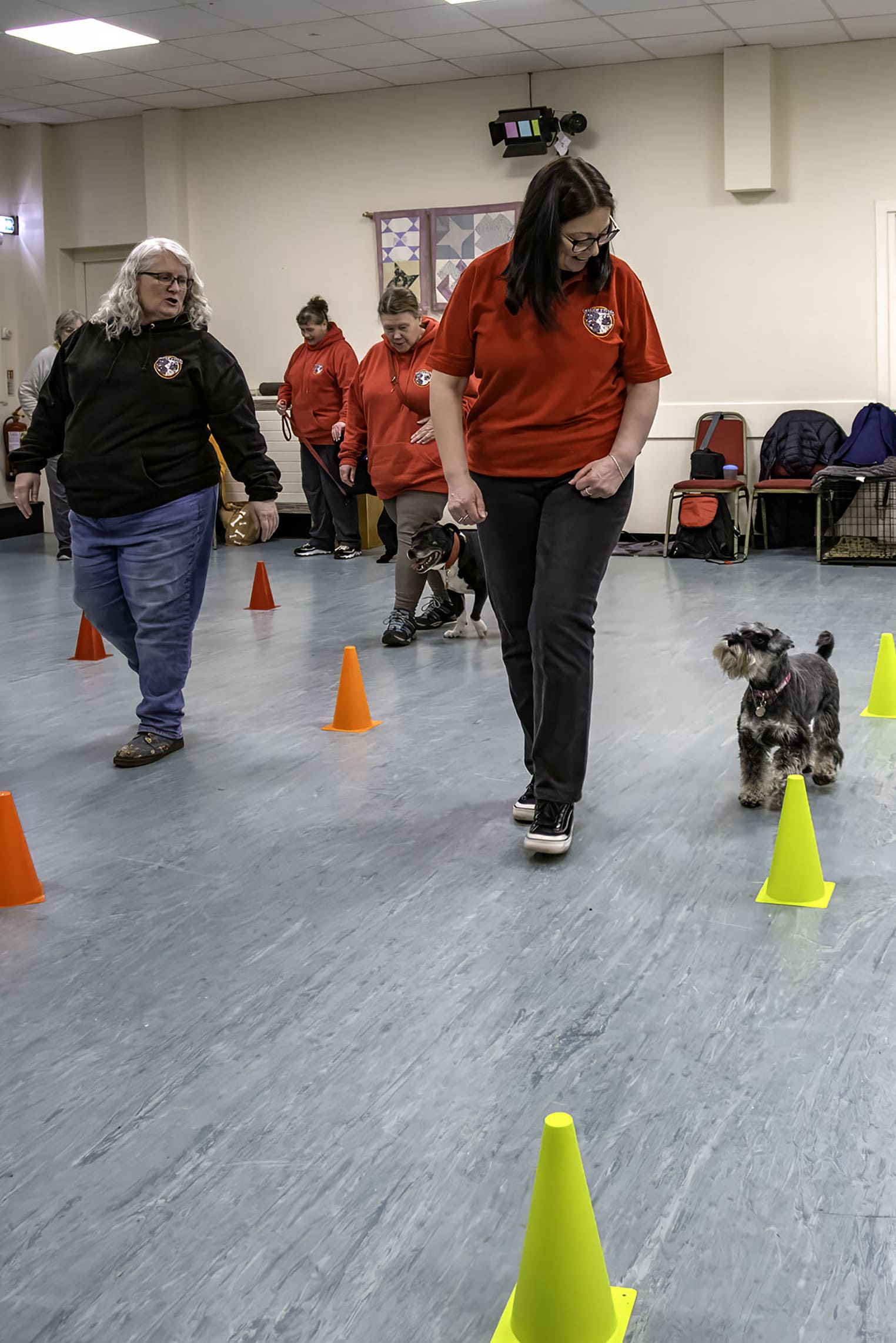 Local Dog Owners Enjoying Training Classes at Curlabull, Leadgate