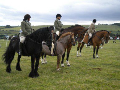 lanchester agricultural show