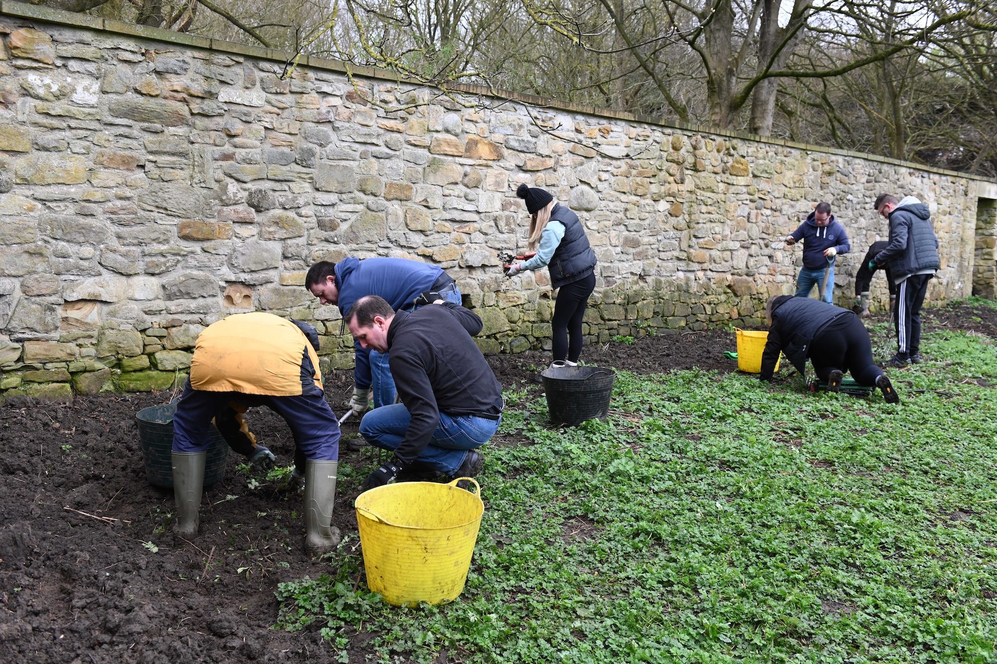 From Past to Present: Transforming Old Durham Gardens with Barratt ...