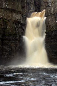 photo courtesy of StoatBringer, from Wikipedia Creative Commons
