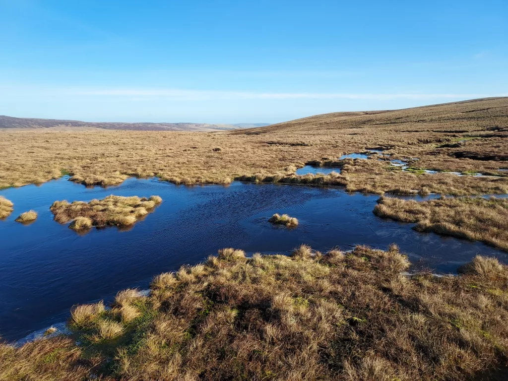 20 Years of Peatland Restoration: North Pennines Marks Major Nature Recovery Milestone