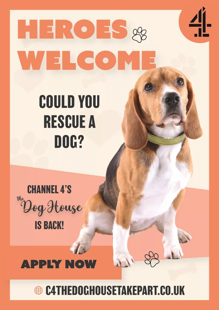 Channel 4’s The Dog House Calls on Durham Dog Lovers to Rehome a Rescue