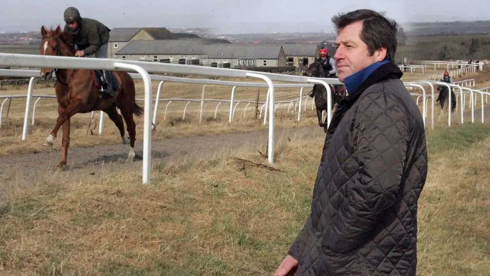 Noel shared a glimpse of the training routine on social media, showcasing The Mekon and Torque of the Town exercising on the grass gallops6. This hands-on approach to training, combined with top-notch facilities, has contributed to Noel Wilson's reputation as a trainer who can get the best out of his horses.