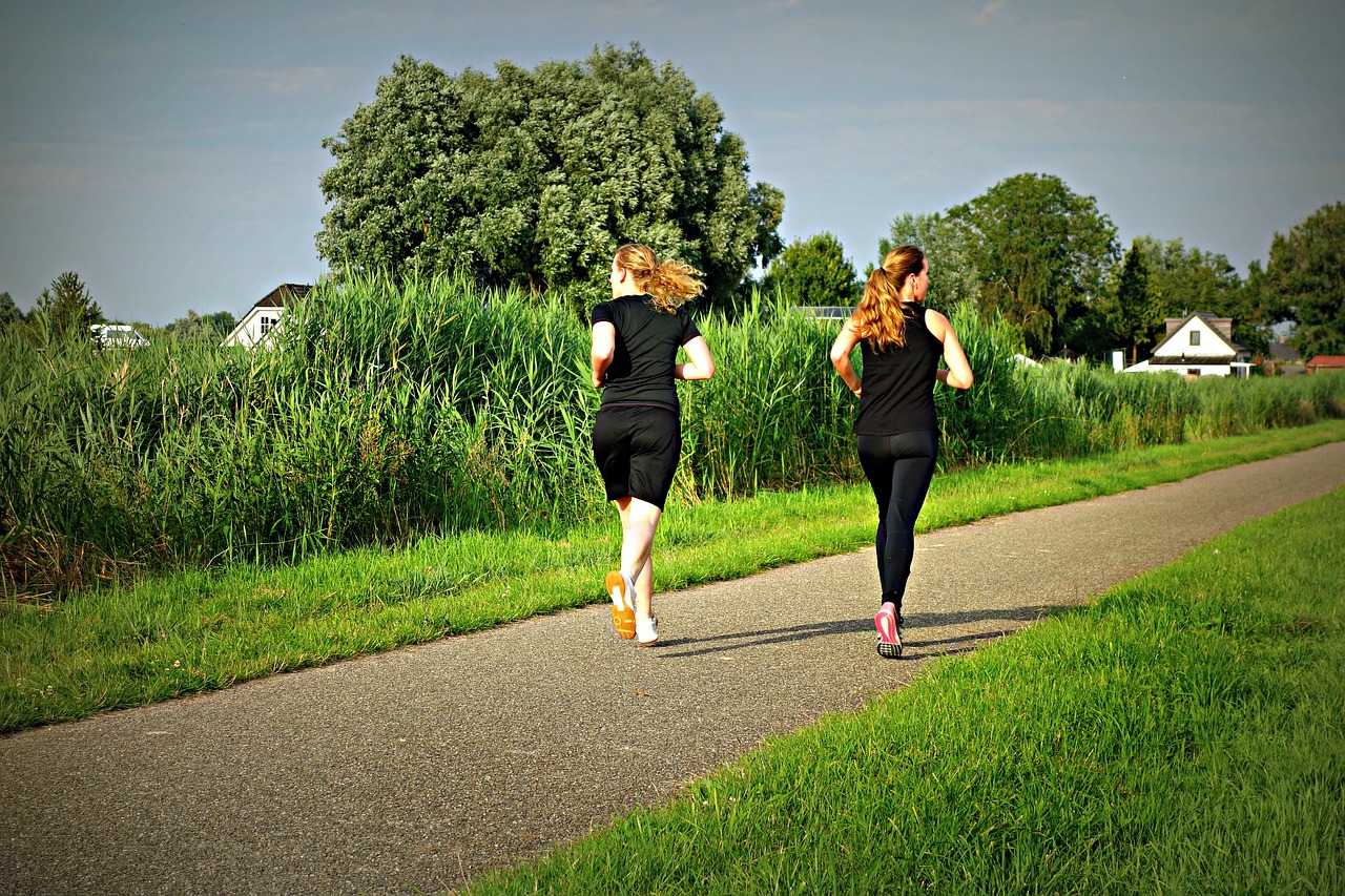 https://pixabay.com/photos/jogging-fitness-exercise-training-1509003/