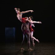 Phoenix Dance Theatre Coming to Durham - Interview