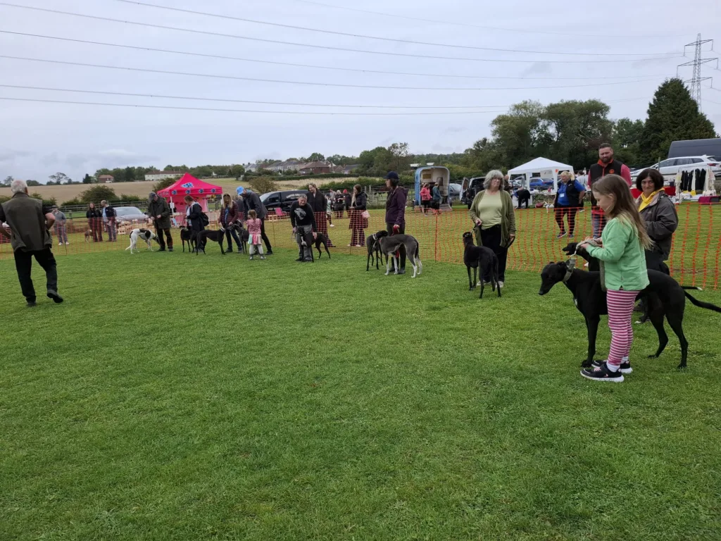 K9 Freedom Fields Summer Fun Dog Show to Raise Funds for Greyhounds Going Home