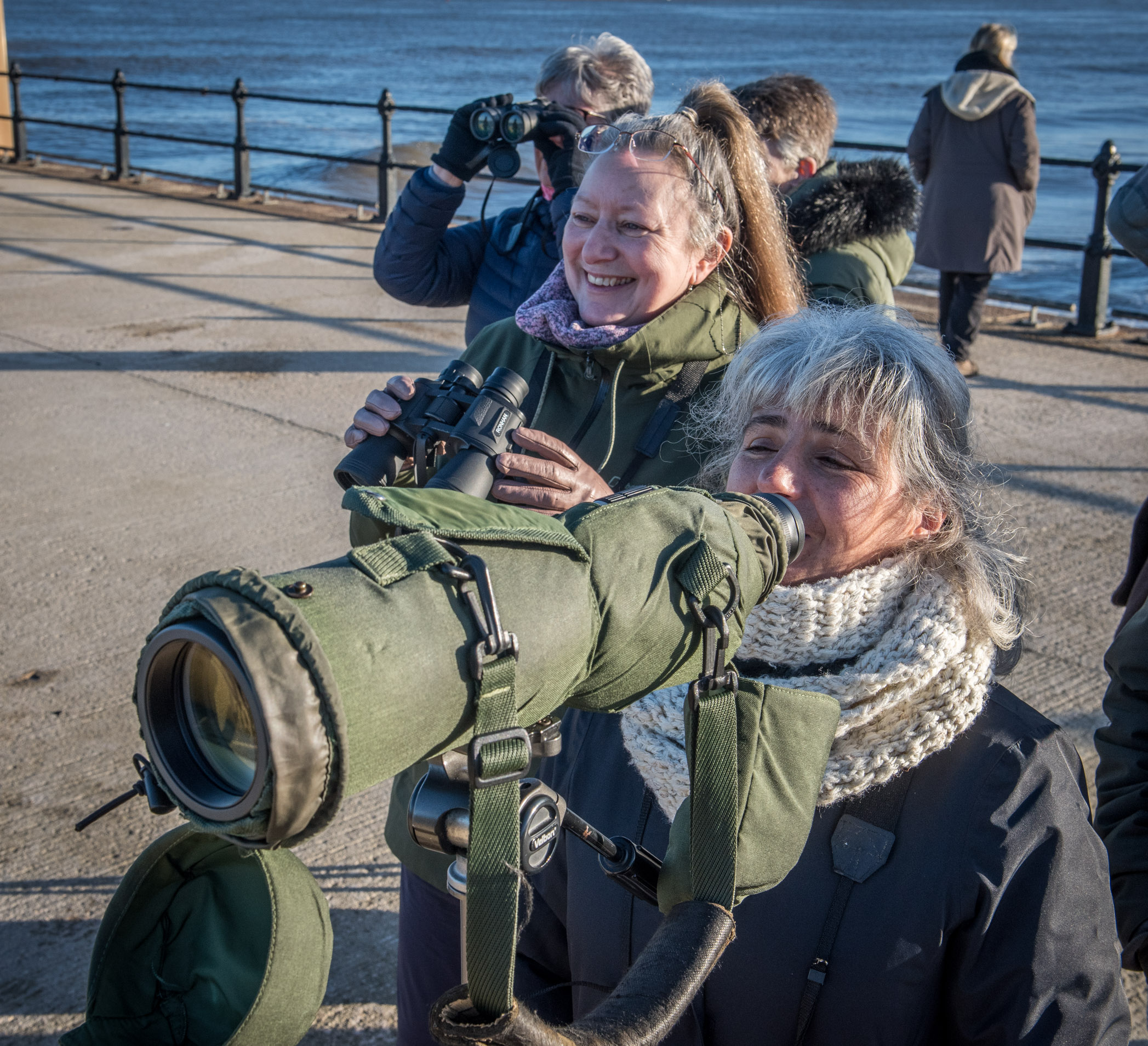A Birdwatcher's Delight: How to See the Best of the North East Coast this Winter