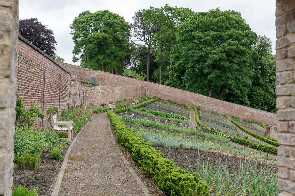 The Walled Garden at Auckland Castle, Bishop Auckland