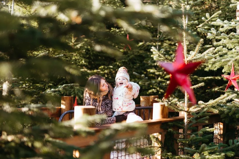 Twixmas Adventures Await as Raby Castle Reopens for the New Year