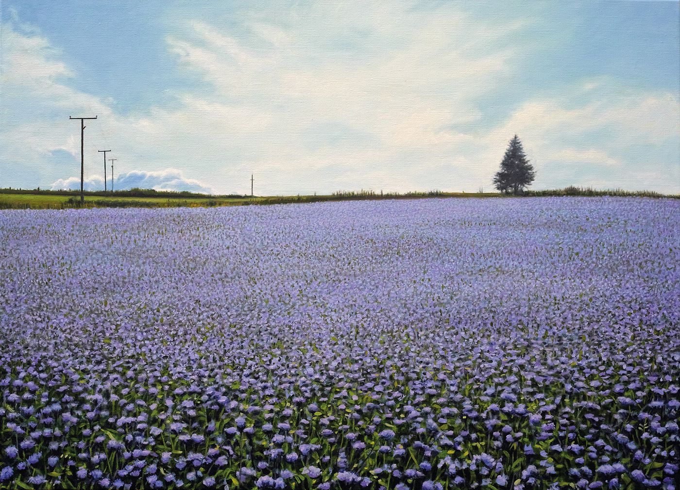 Online Exhibition By Scottish Artist Philip Braham Explores Environments Close To Home