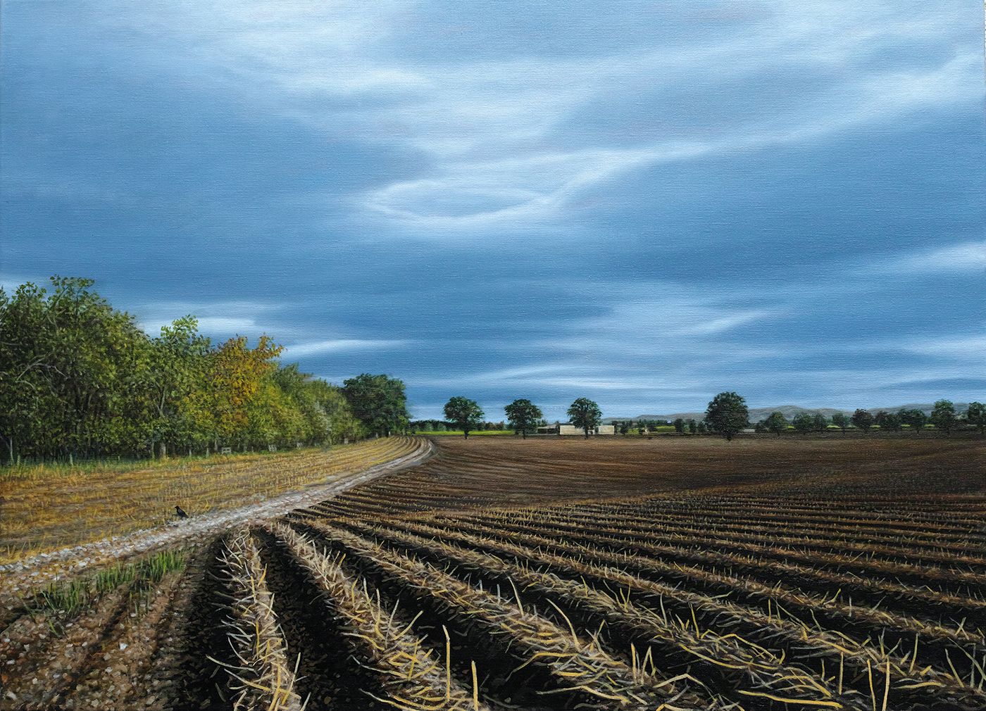 Online Exhibition By Scottish Artist Philip Braham Explores Environments Close To Home
