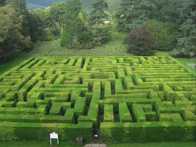 Hedge maze in rear garden, Traquair House in Scotland - Photo by marsroverdriver