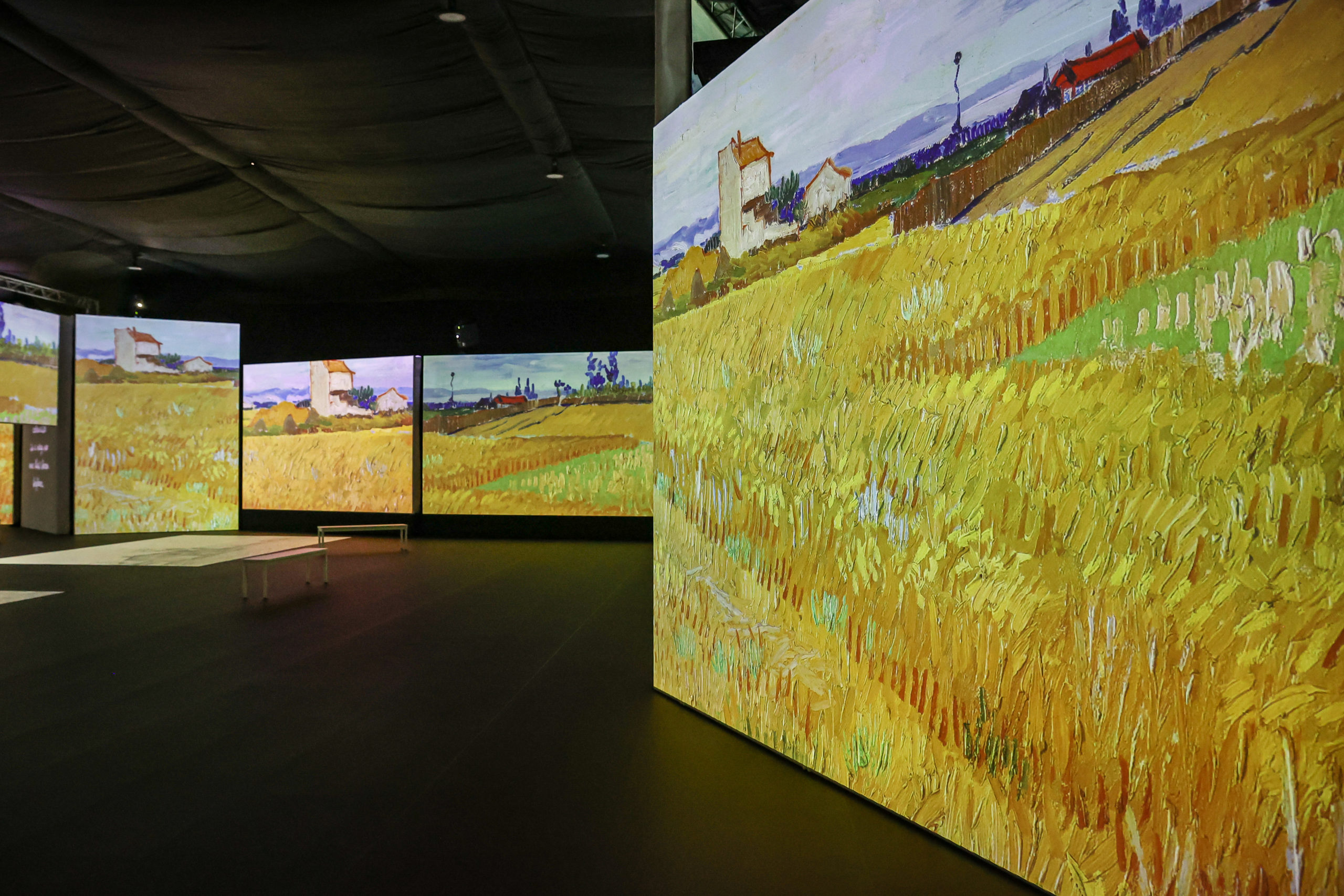 VAN GOGH ALIVE