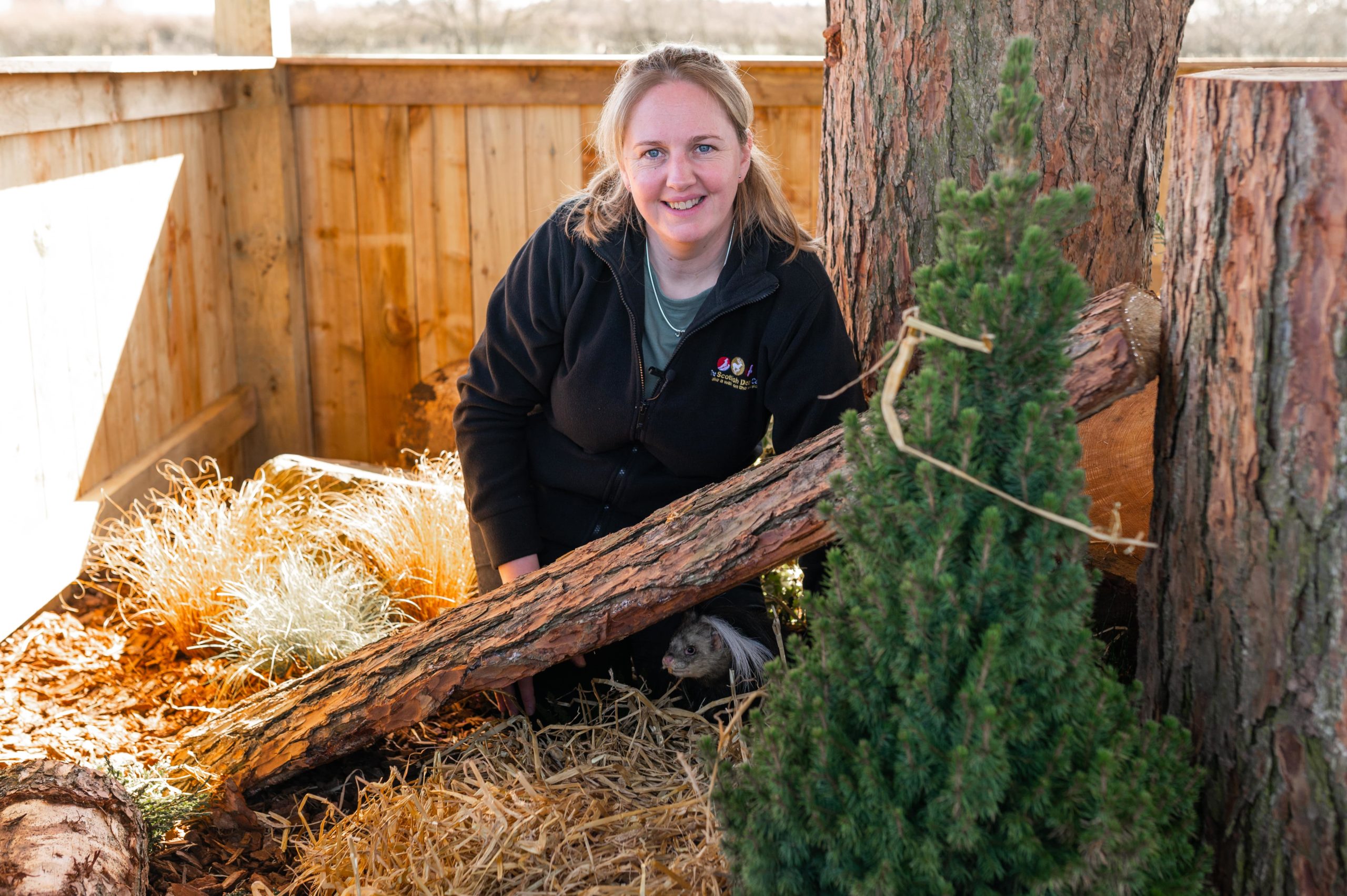  An Offal Big Find: Scottish Deer Centre First in the World to Capture a Live Haggis in Fife, Scotland  