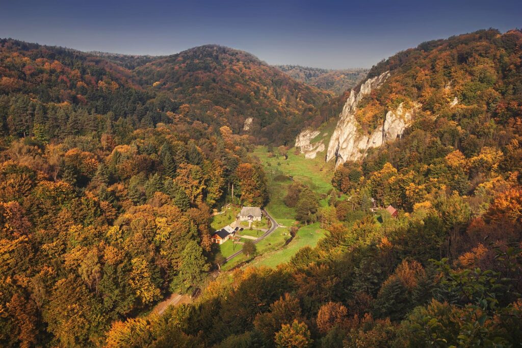 Pradnik Valley view from the mountain - credit: Aneta Pawska, CC BY-SA 3.0 pl