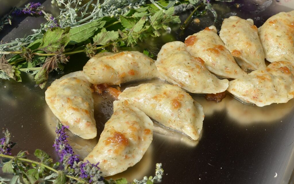 Gastro Miasto Food Festival Kraków, dumplings on a plate