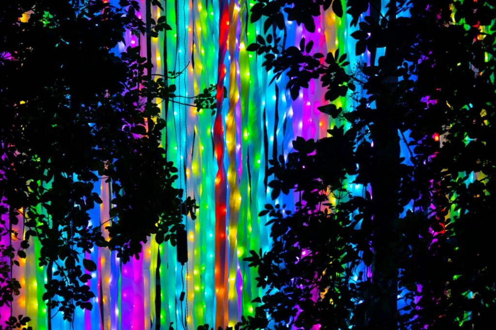 Explore the Magic: Dunham Massey’s Christmas Light Trail for 2024
