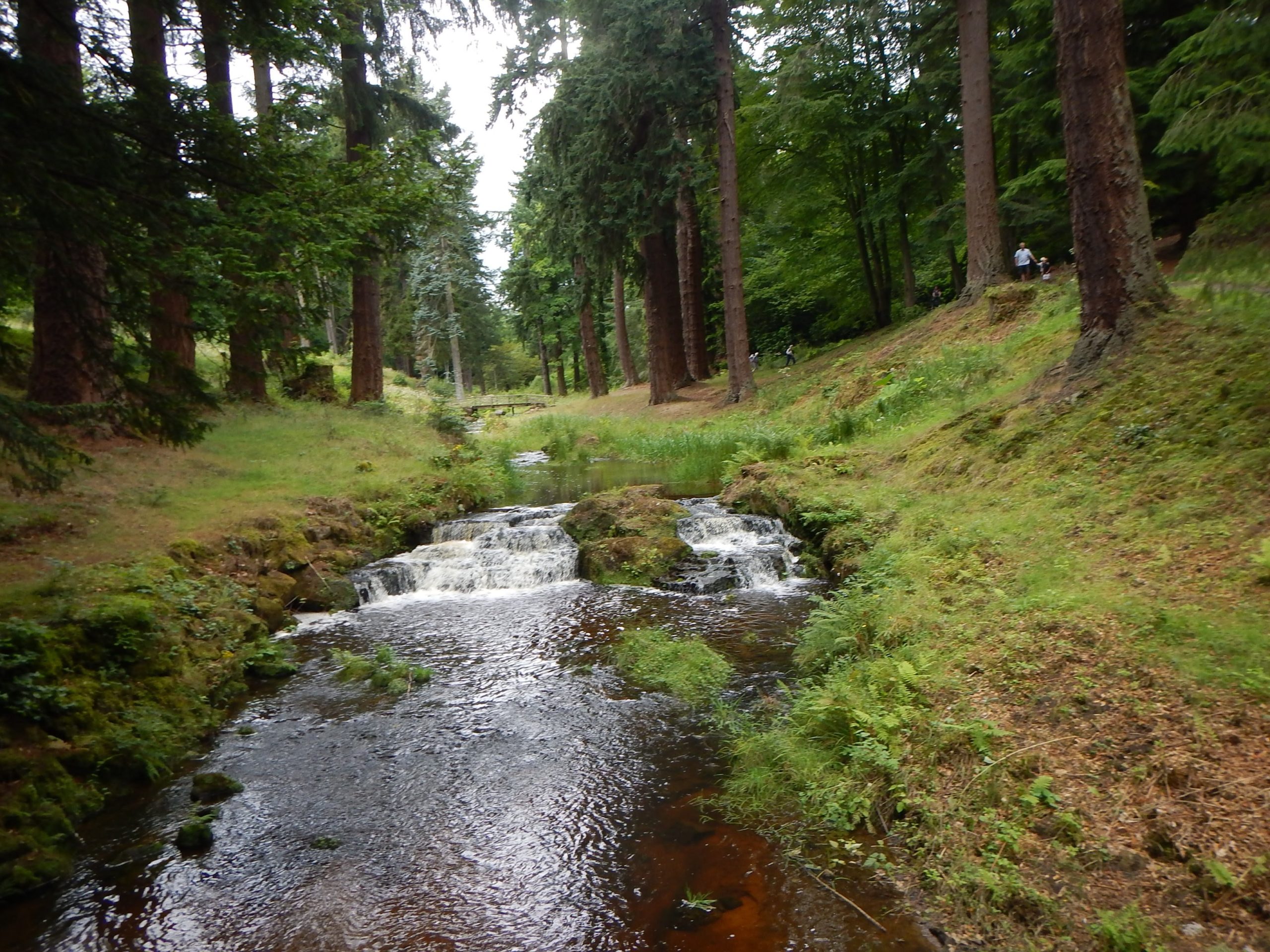 NEECCo Encouraging The North East With The Aim To Become England's Greenest Region