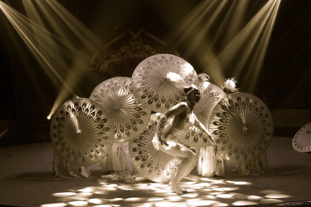 Beautiful Lighting - Chinese State Circus Coming to Newcastle