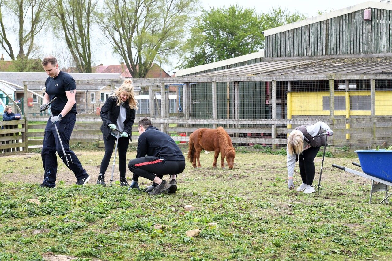 Employees from Local Housebuilder Take a Paws from Their Screens to Volunteer at Newcastle Animal Shelter