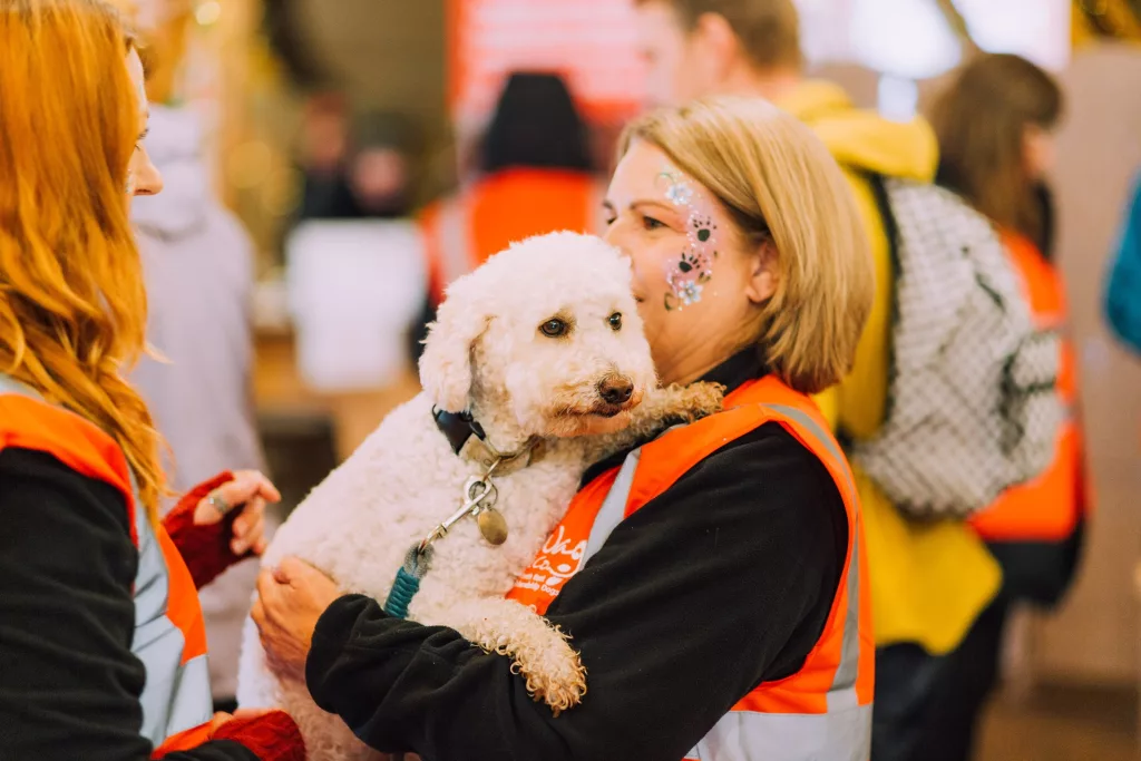 Join the Annual 'Walk for Wag' Fundraiser: A Perfect Day Out for Dog Lovers and Their Canine Companions