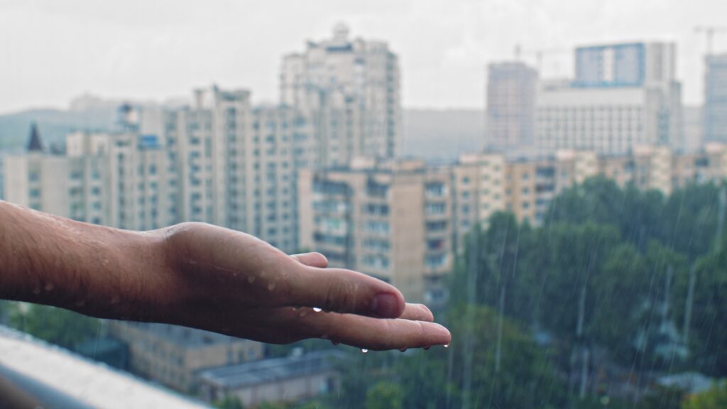 Watering Trees in Rain? Poznań’s Urban Greenery Puzzle Explained