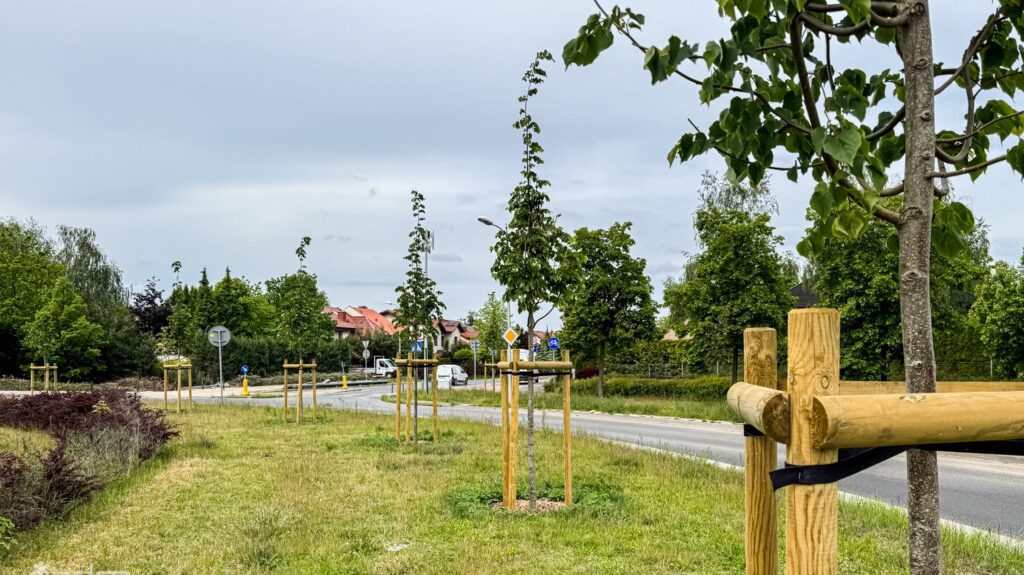 Watering Trees in Rain? Poznań’s Urban Greenery Puzzle Explained