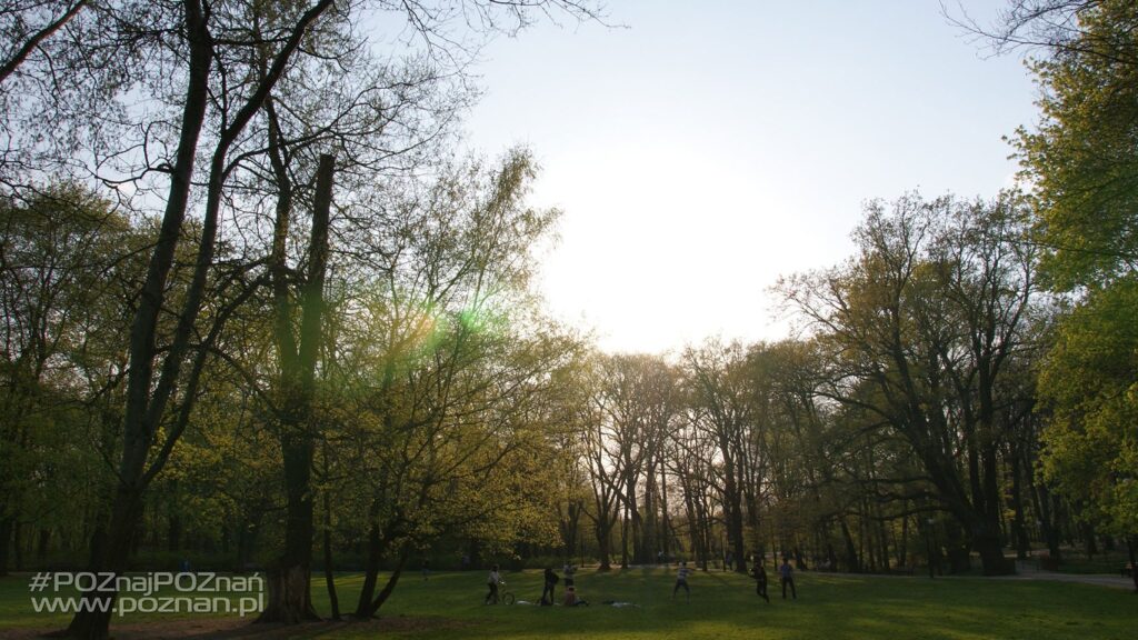 Park Sołacki – A Green Gem in the Heart of Poznań