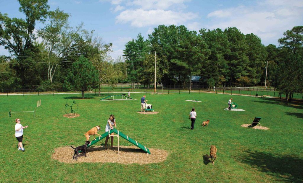 Dog parks: example.