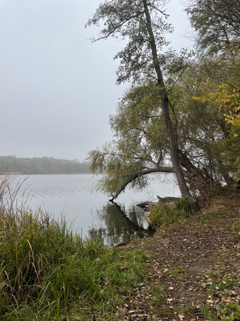 Poznań in Autumn