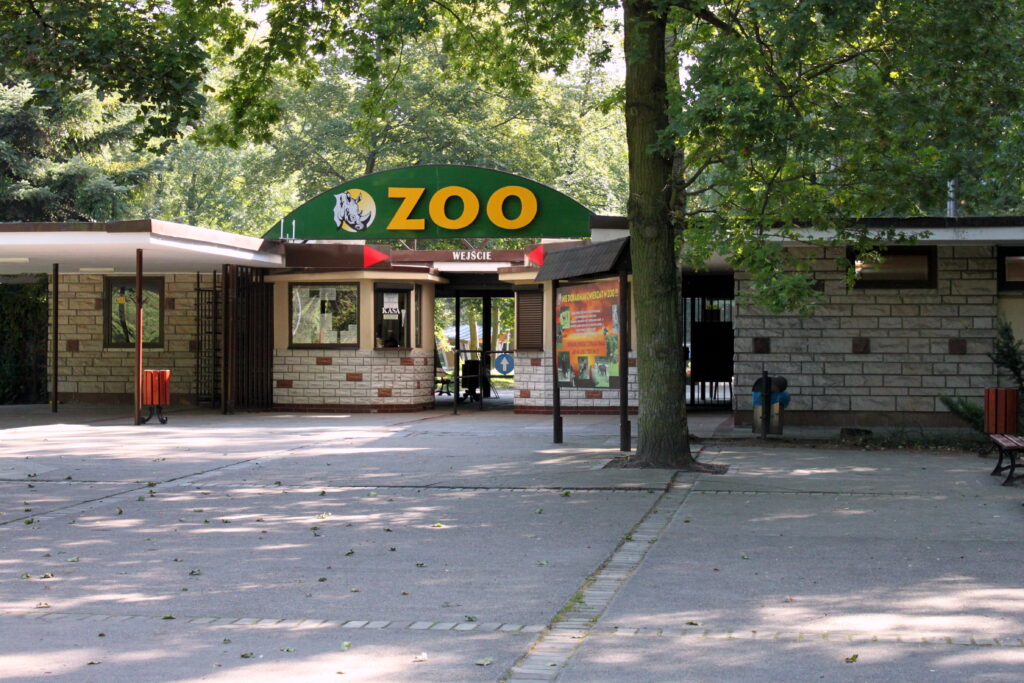 Wild Summer Adventures Await at Poznań’s New Zoo