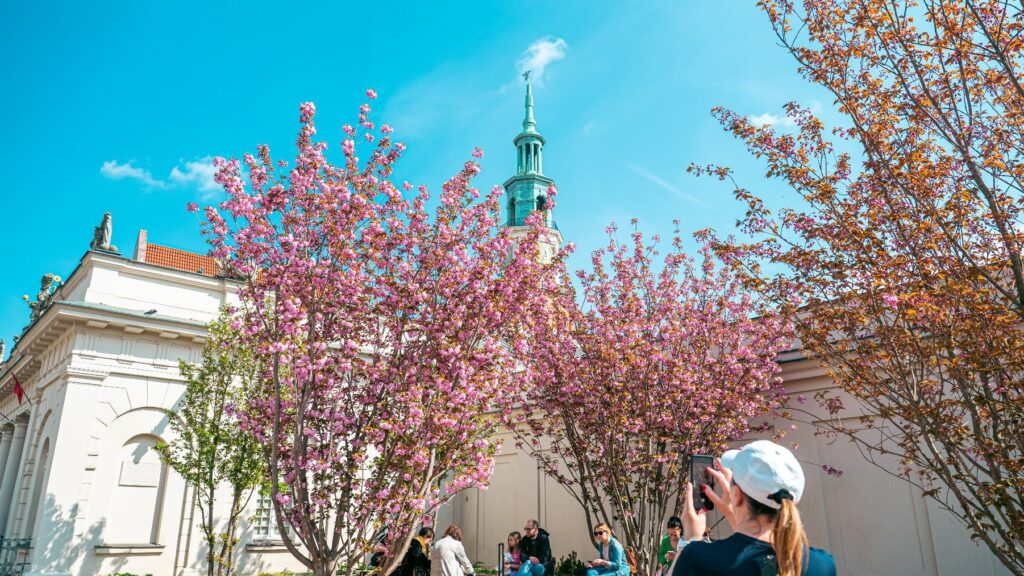 Poznań Tourism 2025: Record Numbers and Growing Business Impact
