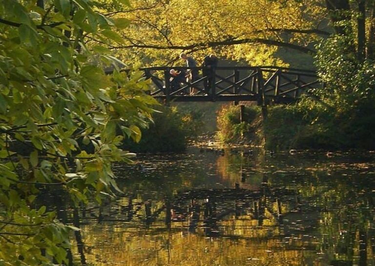 Running Trails in Poznań: Las Dębiński