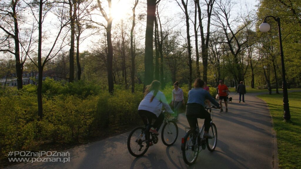 Park Sołacki – A Green Gem in the Heart of Poznań