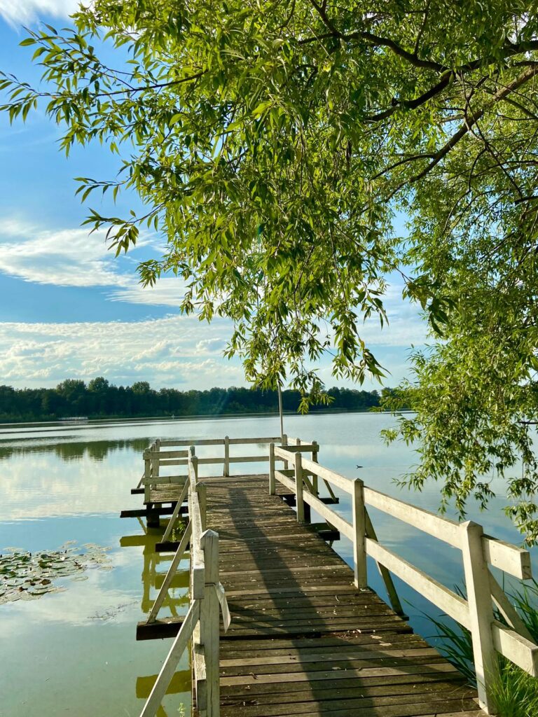 Best Day Trips from Poznań: Cities You Can Visit in Under 2 Hours