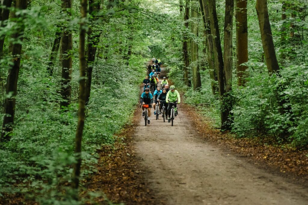 Spartakiada Seniorów. Photo: Agnieszka Wojt
