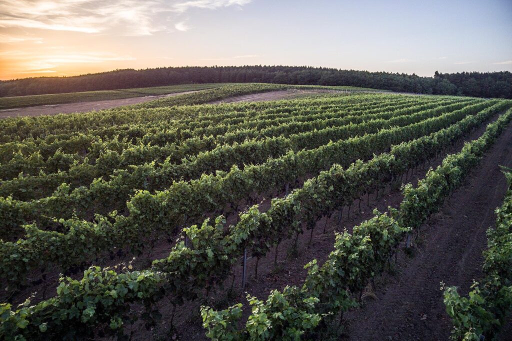 Best Day Trips from Poznań: Cities You Can Visit in Under 2 Hours
