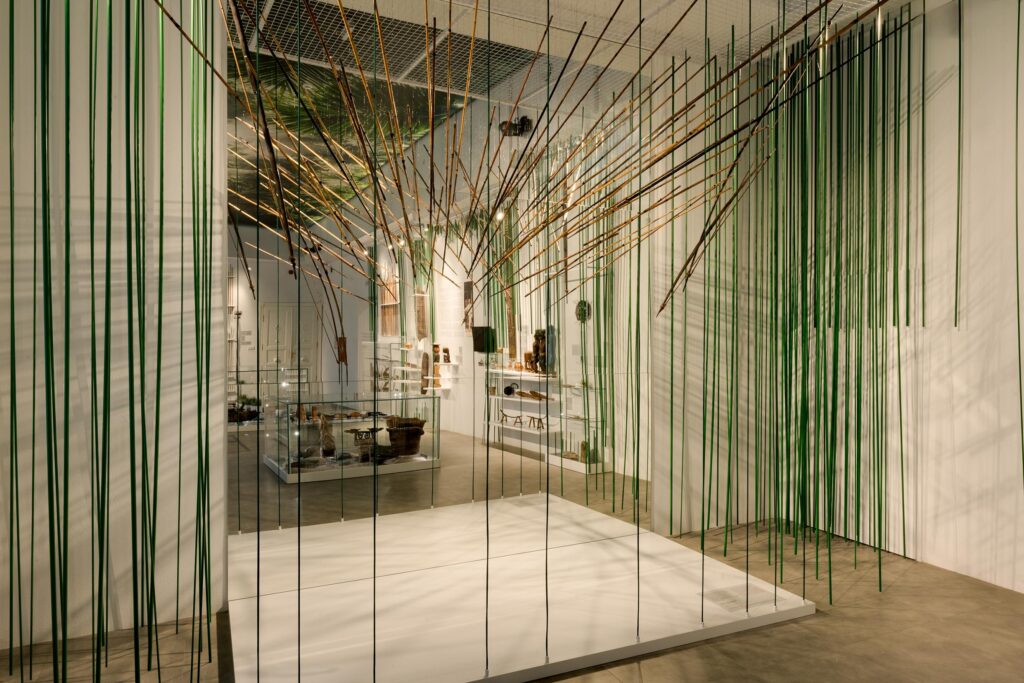 Museum of World Cultures Poznań – A Must-Visit Cultural Attraction