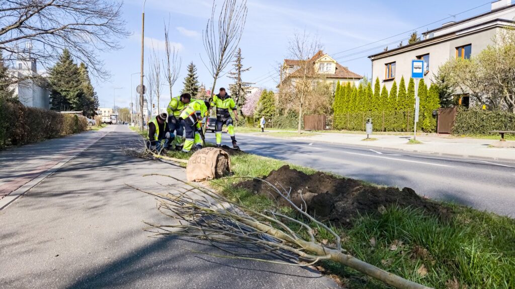 Spring 2025: Green initiatives in Poznań.