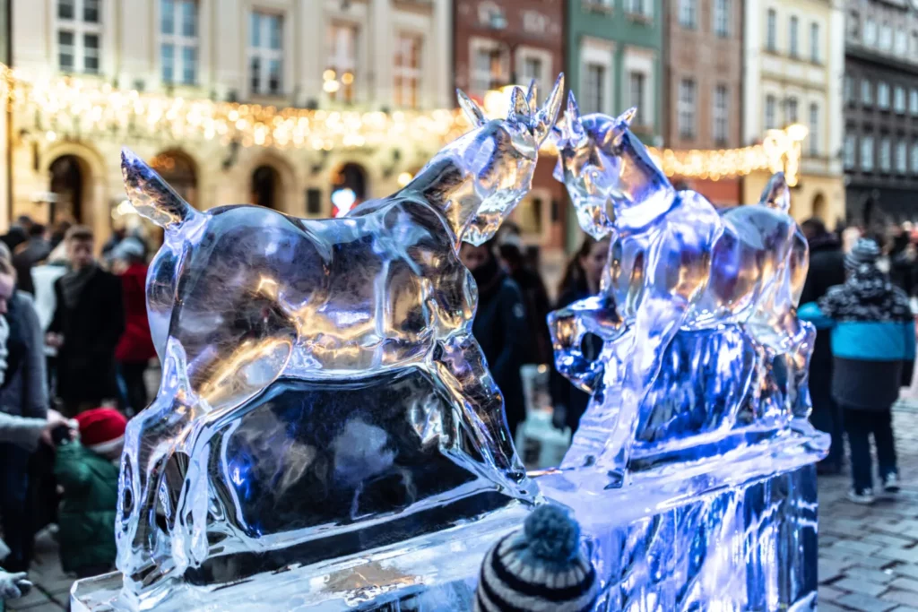 Poznan Ice Festival