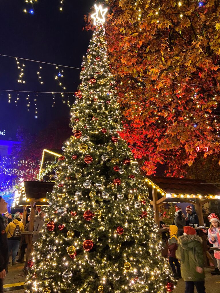 Poznań Christmas Market: Complete Guide