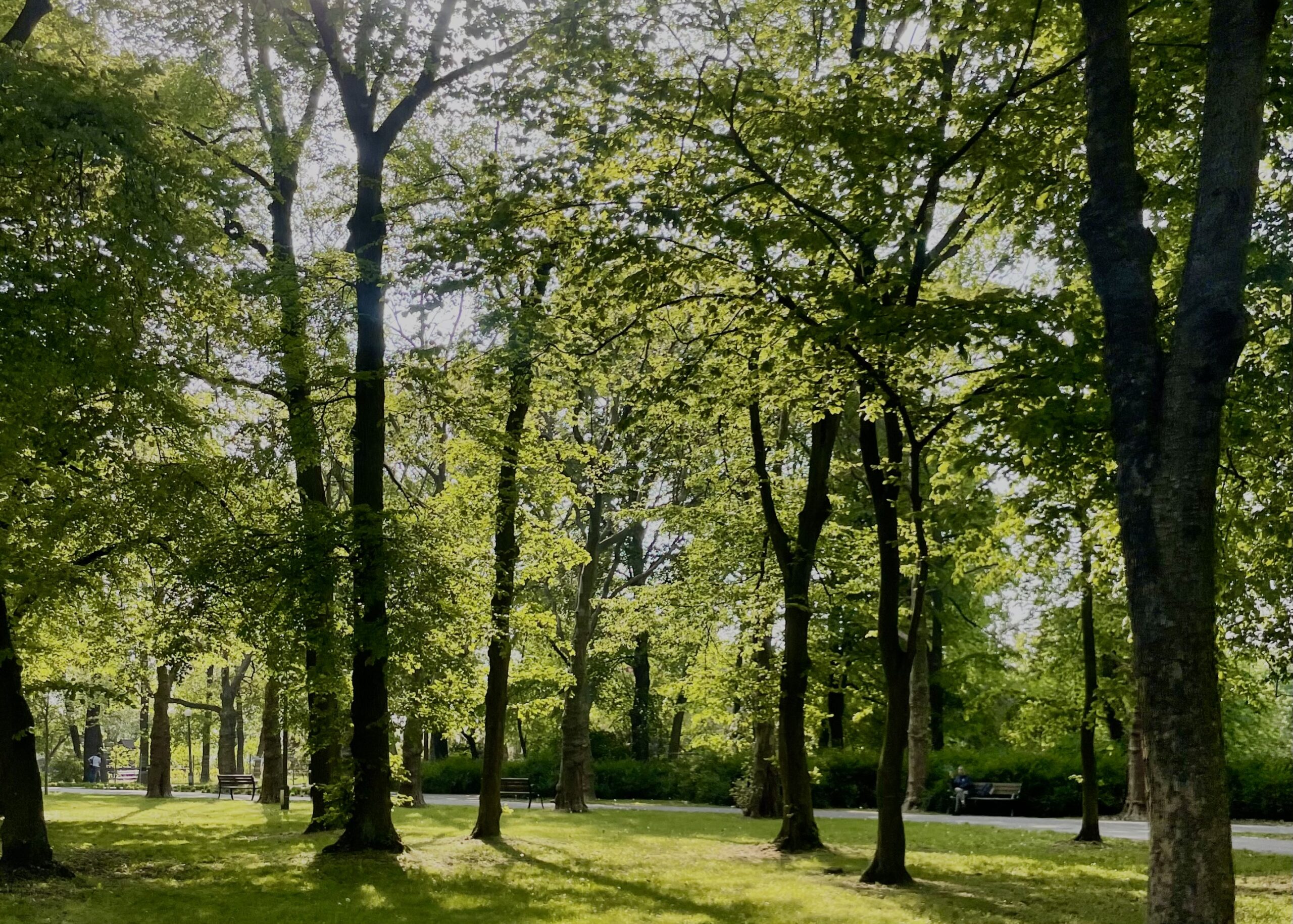 Park Sołacki